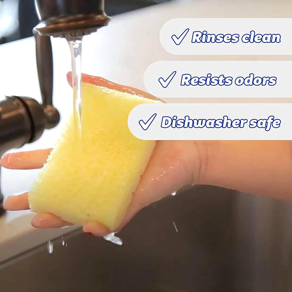 Sponge Daddy Scrubber Magic